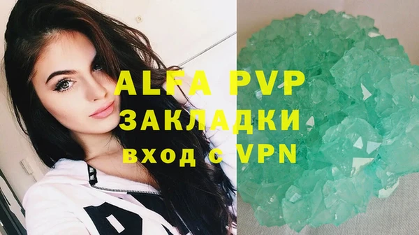 индика Балабаново