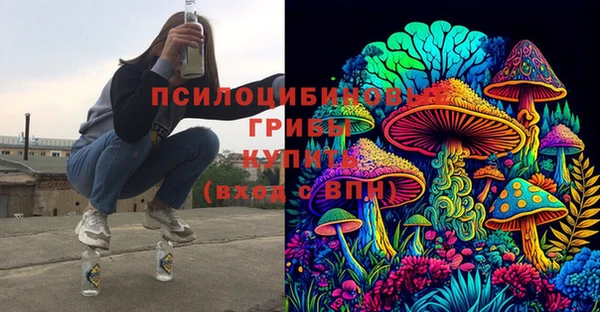 индика Балабаново