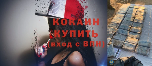 индика Балабаново
