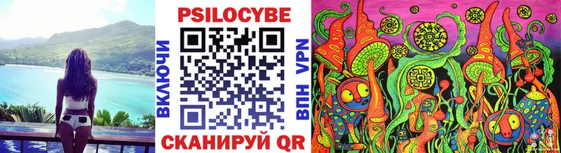 Купить где Боровичи Галлюциногенные грибы Cubensis